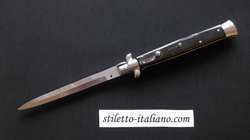 13 Bayonet Dark horn AKC